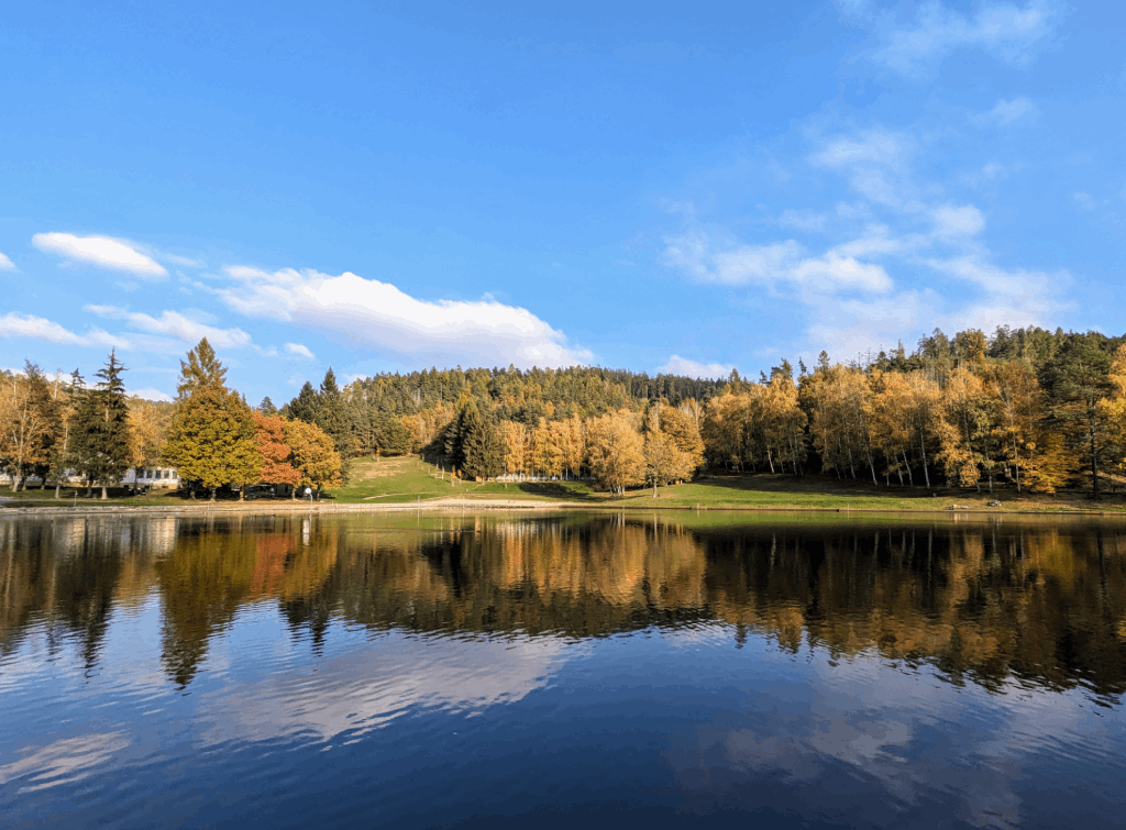 blog_ledviny